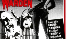 纳粹女魔头在线观看,揭秘历史阴影下的恐怖真相